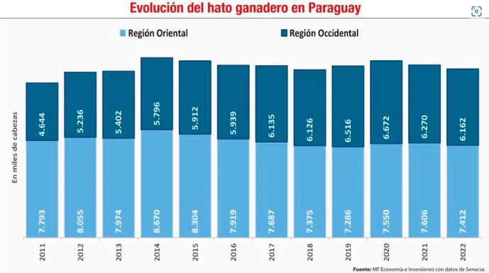 Situaci&oacute;n y perspectivas de la ganader&iacute;a bovina en Paraguay