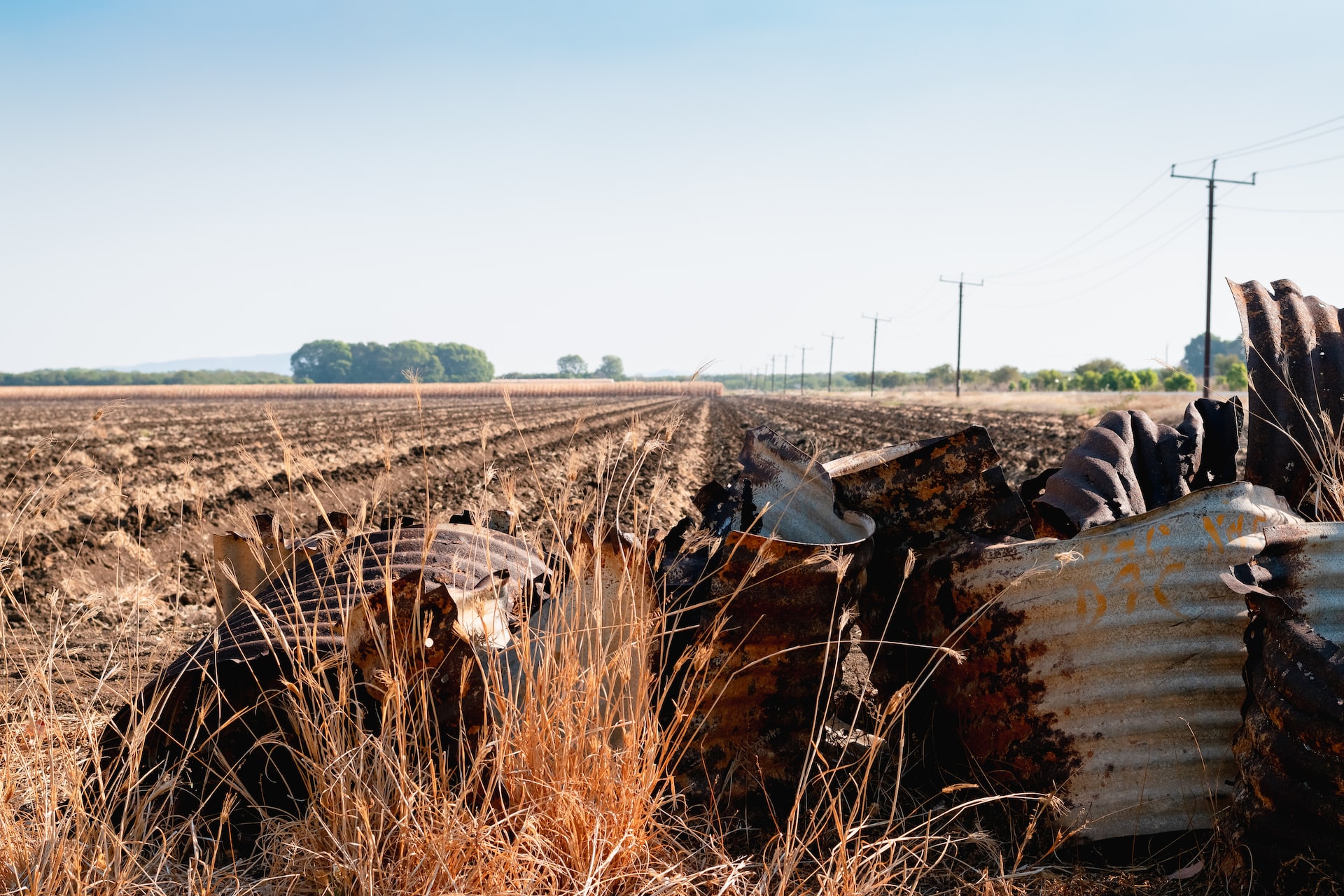 Sequ&iacute;a en Argentina y r&eacute;cord en la cosecha de Brasil influencian al mercado de granos